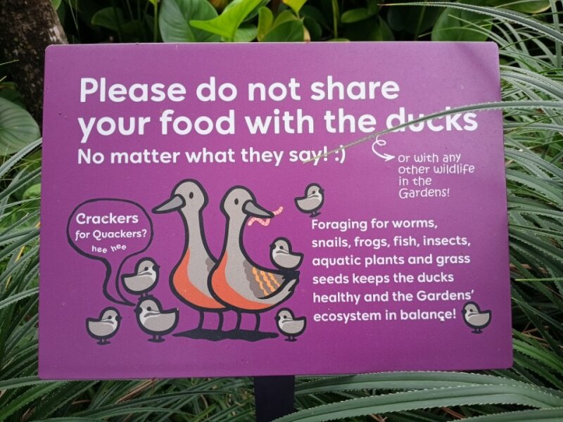 pancarte de canard à singapore