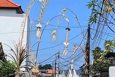 Penjor balinais décorés lors de la fête de Galungan à Bali, symboles de prospérité et de dévotion.