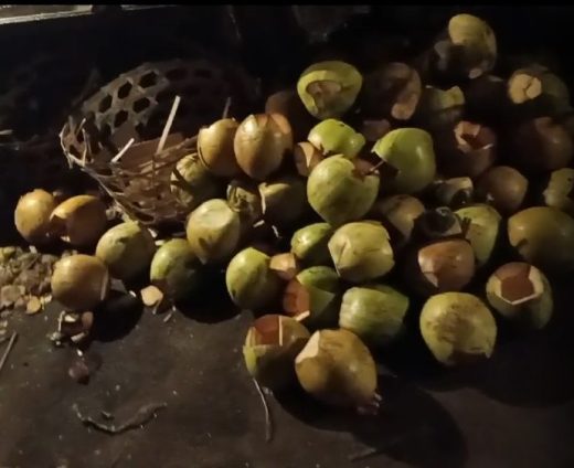 Noix de coco en tas dans un warung
