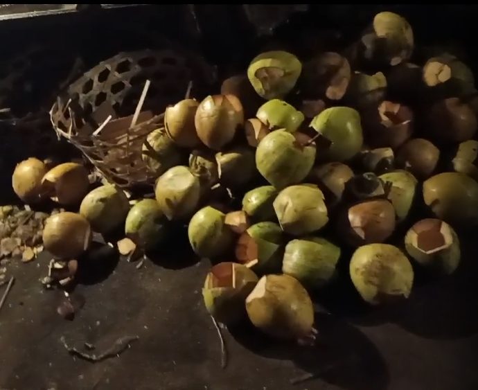 Noix de coco en tas dans un warung