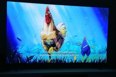 Un poulet japonais avance fierement pour trouver une poule
