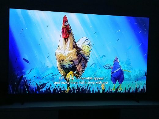 Un poulet japonais avance fierement pour trouver une poule