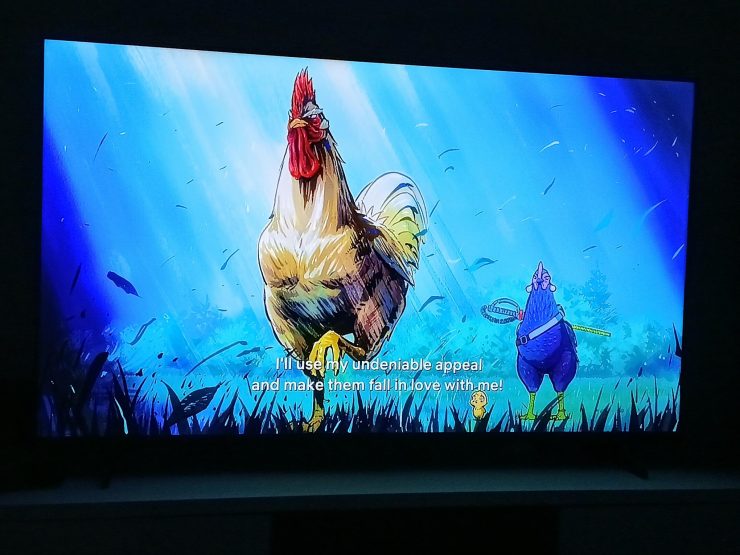Un poulet japonais avance fierement pour trouver une poule
