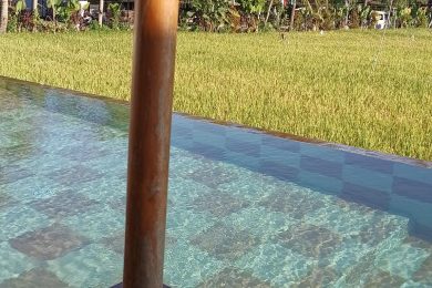 Piscine turquoise avec vue sur rizières verdoyantes et palmiers à Bali, ciel bleu en arrière-plan, ambiance tropicale et sereine.