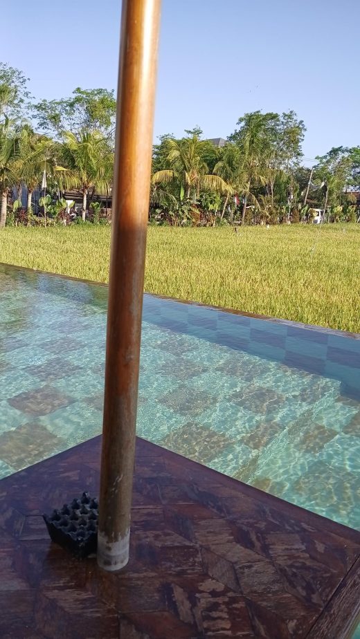 Piscine turquoise avec vue sur rizières verdoyantes et palmiers à Bali, ciel bleu en arrière-plan, ambiance tropicale et sereine.