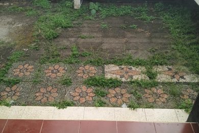 mauvaises herbes à bali dans une cour avant round up