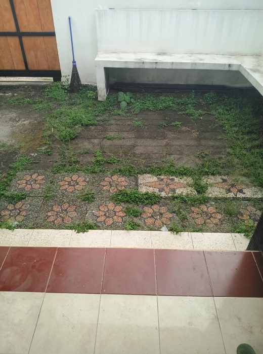 mauvaises herbes à bali dans une cour avant round up